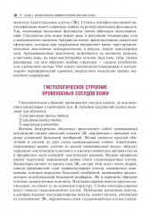 Сосудистые болезни кожи - Фото 7