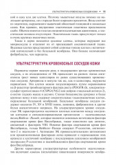 Сосудистые болезни кожи - Фото 8