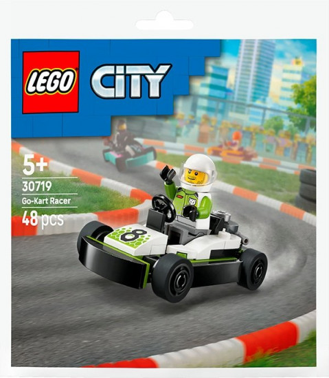 Конструктор LEGO<sup class="reg">®</sup> 30719 Гонщик на картинге