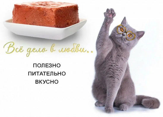 Паштет для котят с индейкой и добавлением сливок