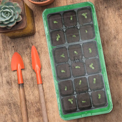 Мини-парник для рассады - Фото 3