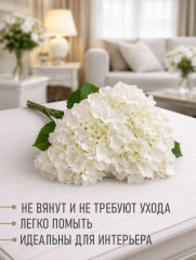 Гортензии - Фото 2