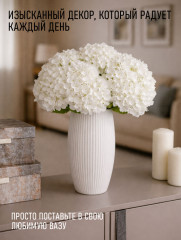 Гортензии - Фото 4