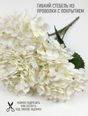 Гортензии - Фото 5