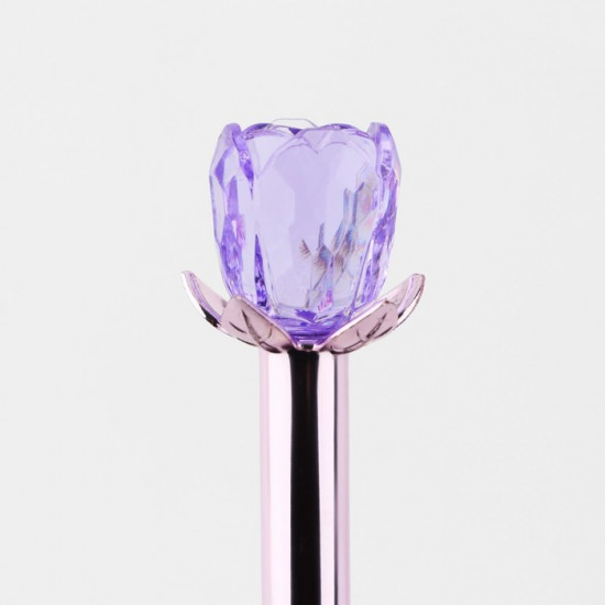 Подарочный набор «8 марта: Мечтай этой весной»