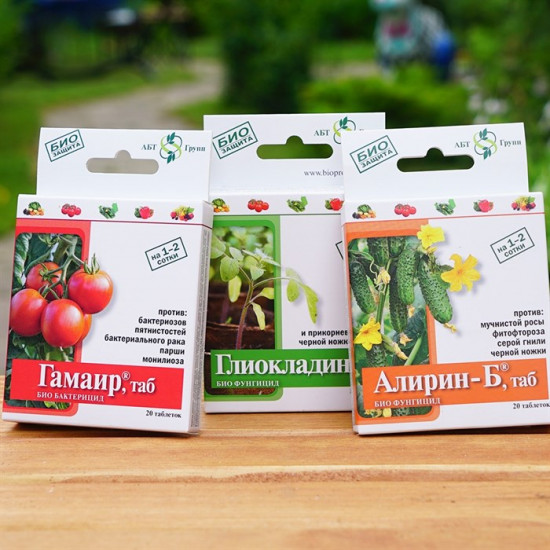 Биологический фунгицид для борьбы с корневыми гнилями «Глиокладин»