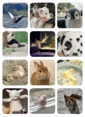 Набор стикеров 3D - Фото 1