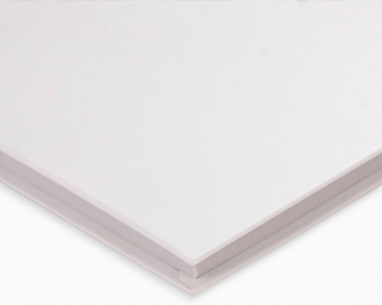 Ежедневник «Хьюстон, я проблема»