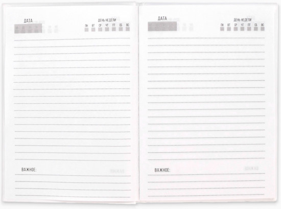 Ежедневник «Хьюстон, я проблема»