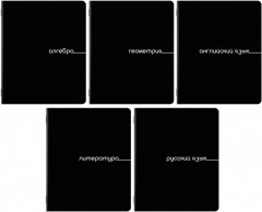 Набор предметных тетрадей - Фото 1