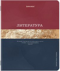 Набор предметных тетрадей - Фото 4