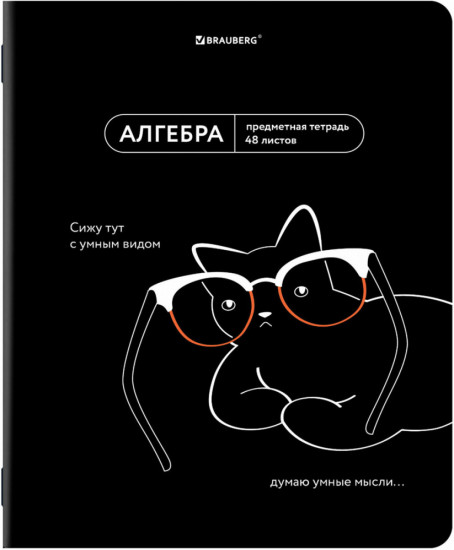 Набор предметных тетрадей