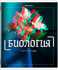 Набор предметных тетрадей - Фото 3