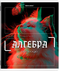 Набор предметных тетрадей - Фото 8