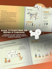 Школа рисования для начинающих. Милые животные - Фото 6