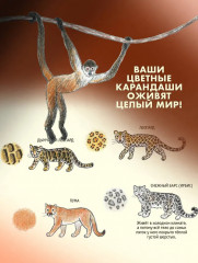 Школа рисования для начинающих. Милые животные - Фото 7