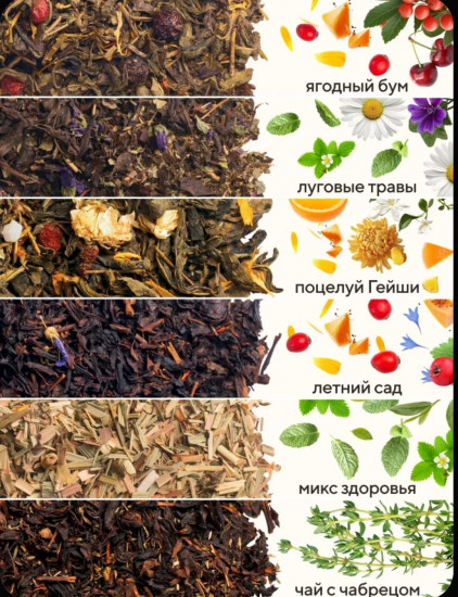 Чайный набор-ассорти из 12 вкусов