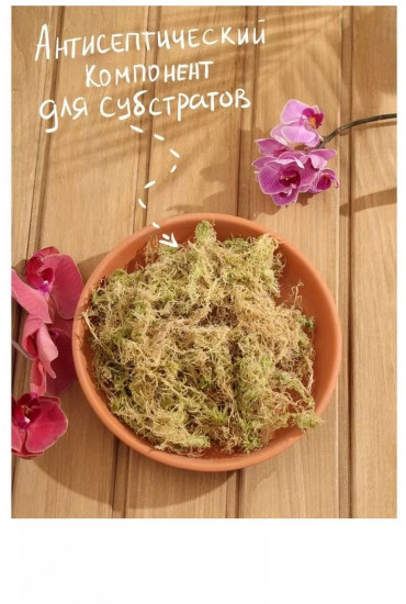 Мох сфагнум «Экономный садовод»