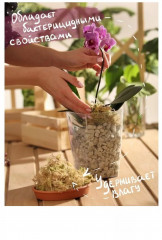 Мох сфагнум «Экономный садовод» - Фото 2