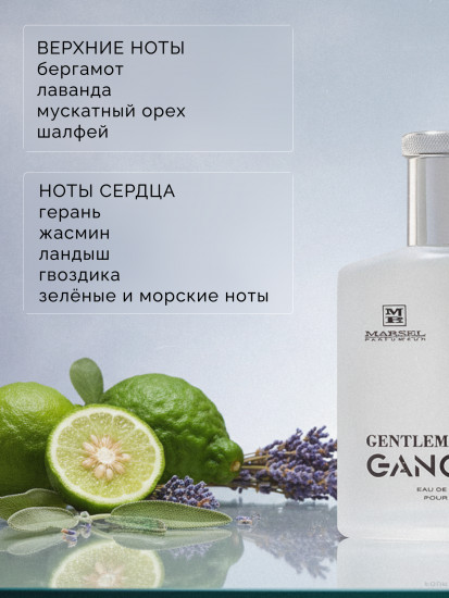 Туалетная вода «Gentleman»