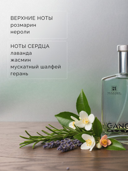 Туалетная вода «Gangster Platinum»