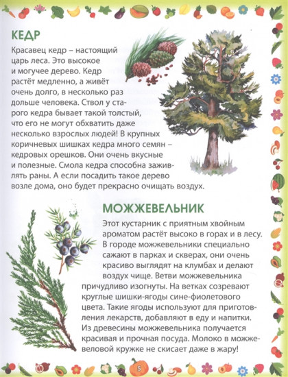 Энциклопедия для малышей «Растения»