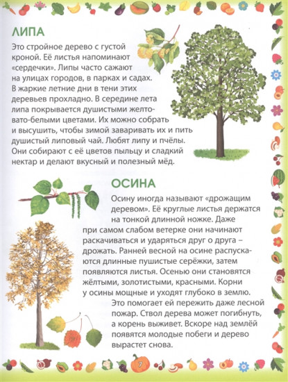 Энциклопедия для малышей «Растения»