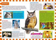Птицы России - Фото 2