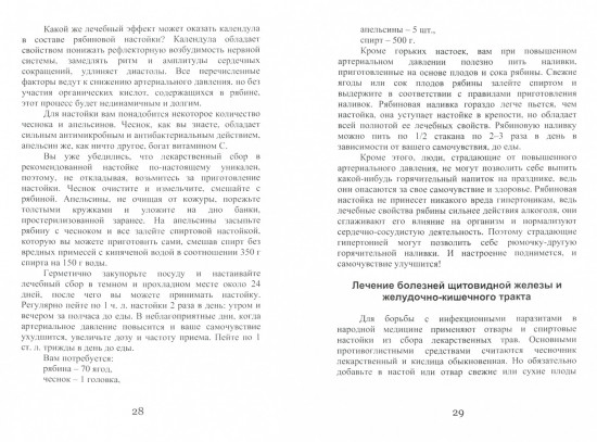 Целительная рябина