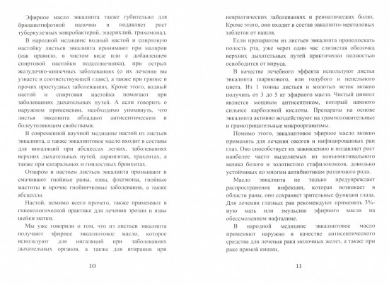 Целительный эвкалипт