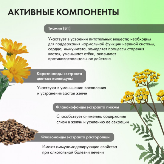 БАД жидкий к пище «Ливерина»