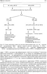 Клиническая фармакология - Фото 12