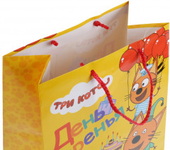 Пакет подарочный - Фото 3