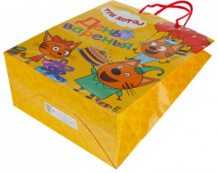 Пакет подарочный - Фото 4