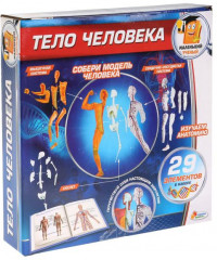Набор для проведения опытов «Тело человека» - Фото 1