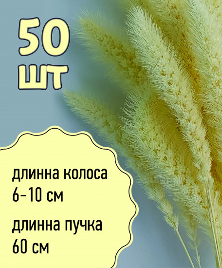 Набор сухоцветов «Лисохвост»