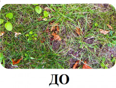 Средство от сорняков на газоне «Диастар» - Фото 1