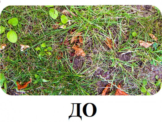 Средство от сорняков на газоне «Диастар»