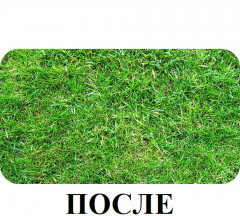 Средство от сорняков на газоне «Диастар» - Фото 2
