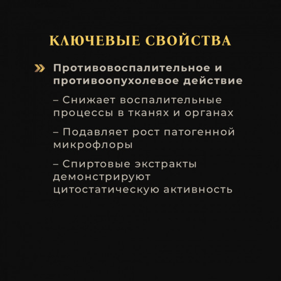 Спрей с экстрактом лисички