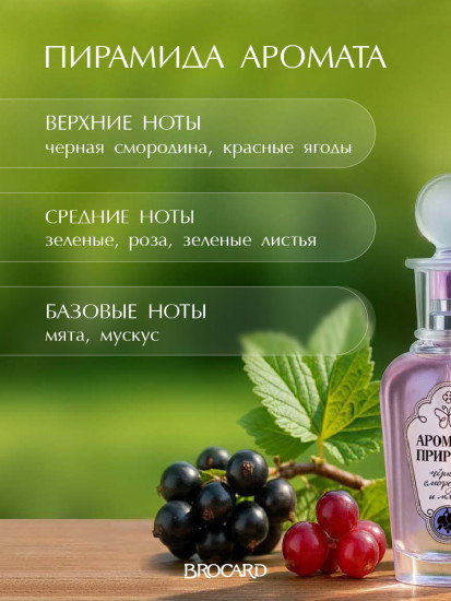 Туалетная вода «Черная смородина и мята»