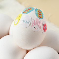 Набор для декора яиц «Цыплята и кролики» - Фото 4