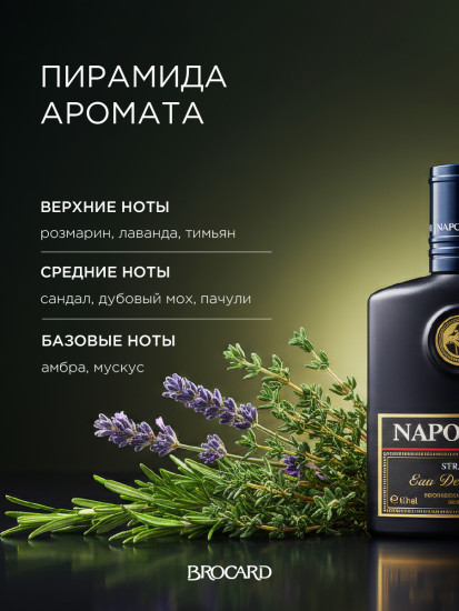 Одеколон «Napoleon Strateg»