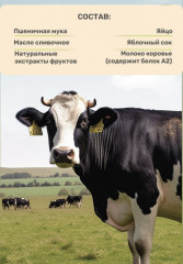 Палочки для прорезывания зубов с молочным вкусом, с кальцием и белком A2 «Ameya» - Фото 2