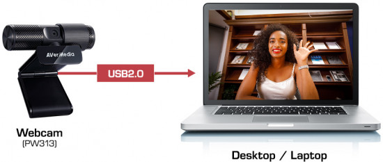 Веб-камера AverMedia PW313