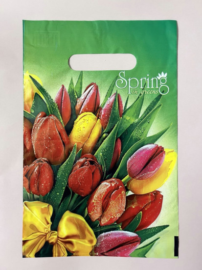 Пакет подарочный