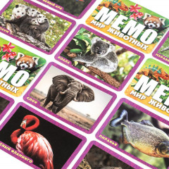 Игра карточная «Мемо. Удивительные животные» - Фото 3