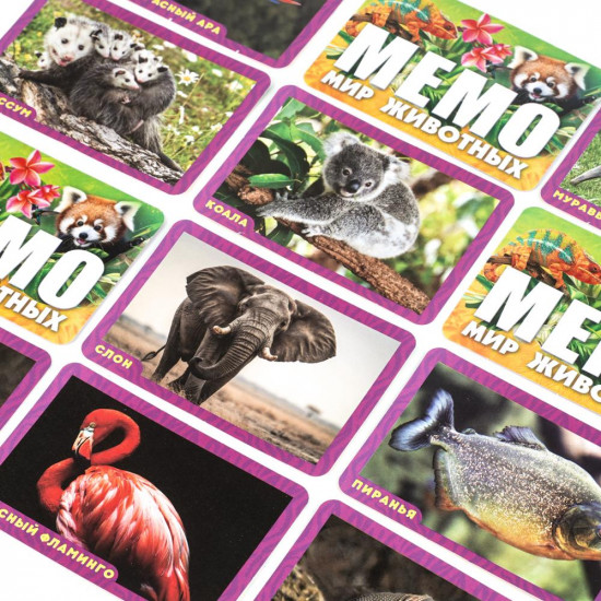 Игра карточная «Мемо. Удивительные животные»