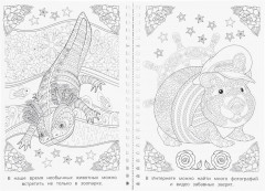 Раскраска-антистресс «Мир природы» - Фото 1