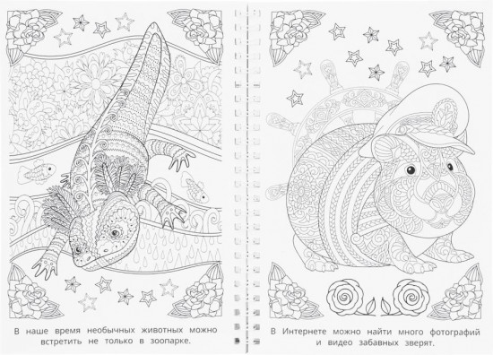 Раскраска-антистресс «Мир природы»